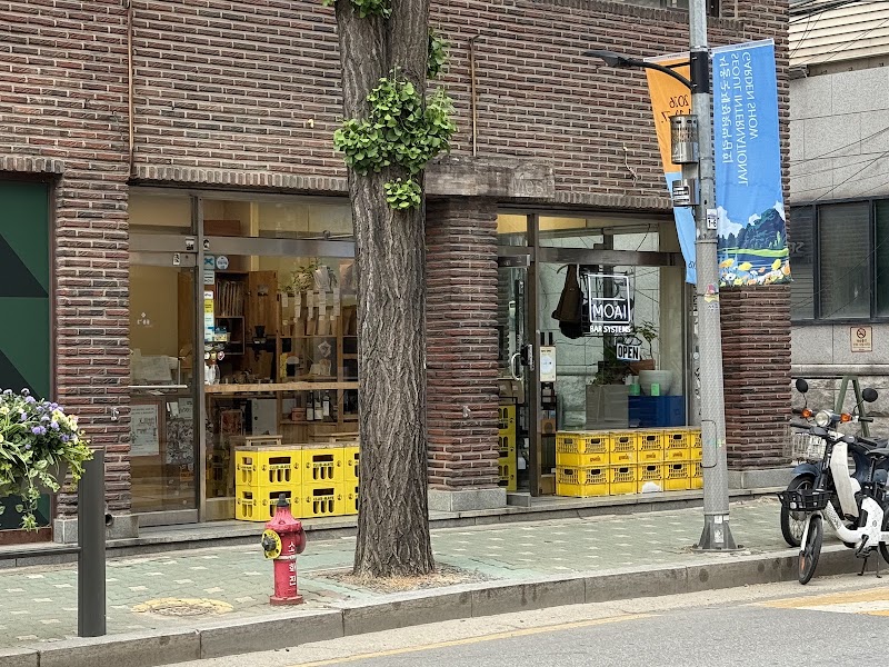Mesh Coffee
