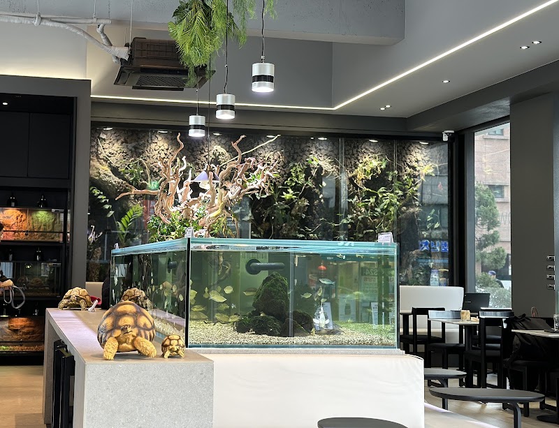 Slow Coffee Yeoksam